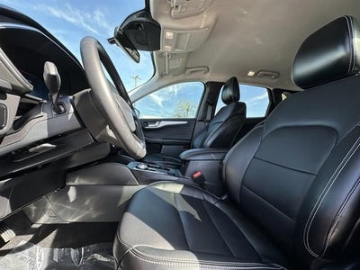 2024 Ford Escape Hybrid Platinum