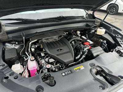 2024 Lexus TX 350 Premium