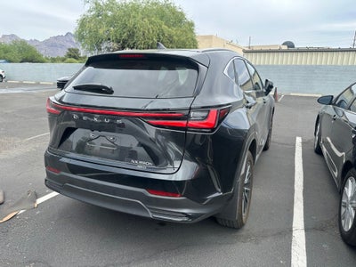 2023 Lexus NX 350h Base