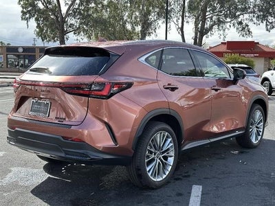2025 Lexus NX 350 Premium