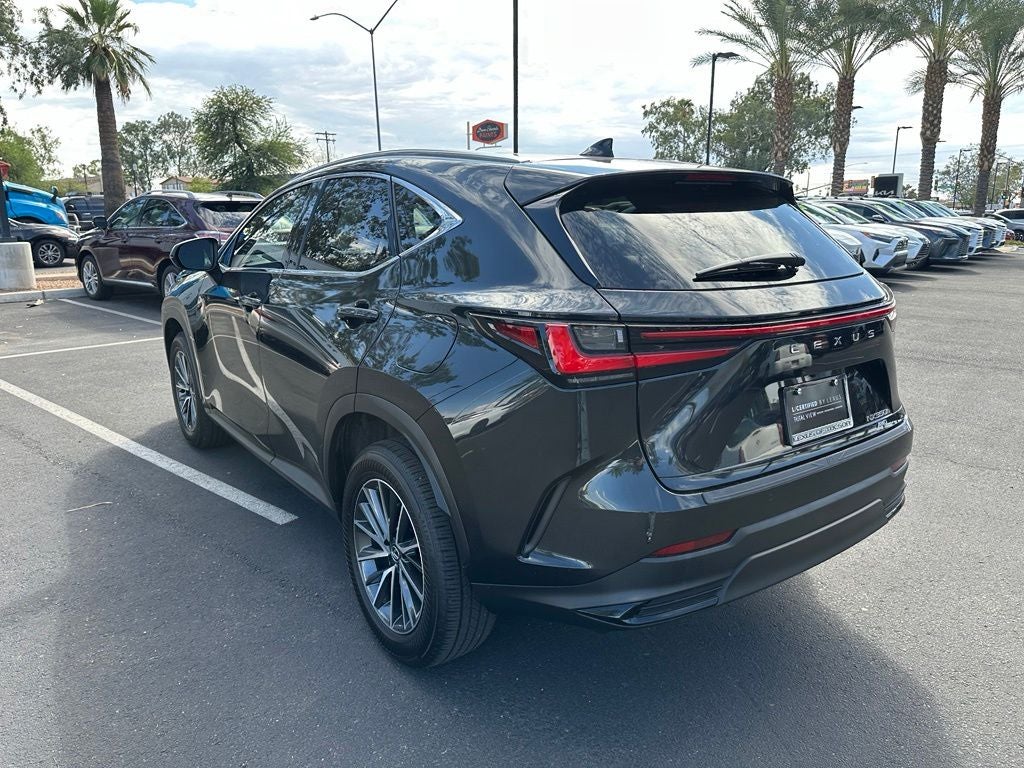 2024 Lexus NX 350h Premium