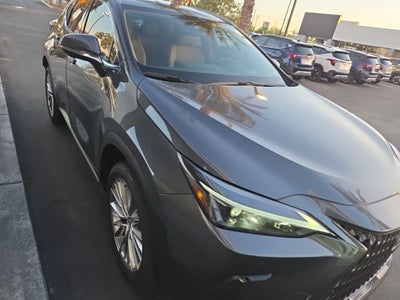 2025 Lexus NX 350h Premium