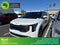 2025 Kia Carnival Hybrid LXS